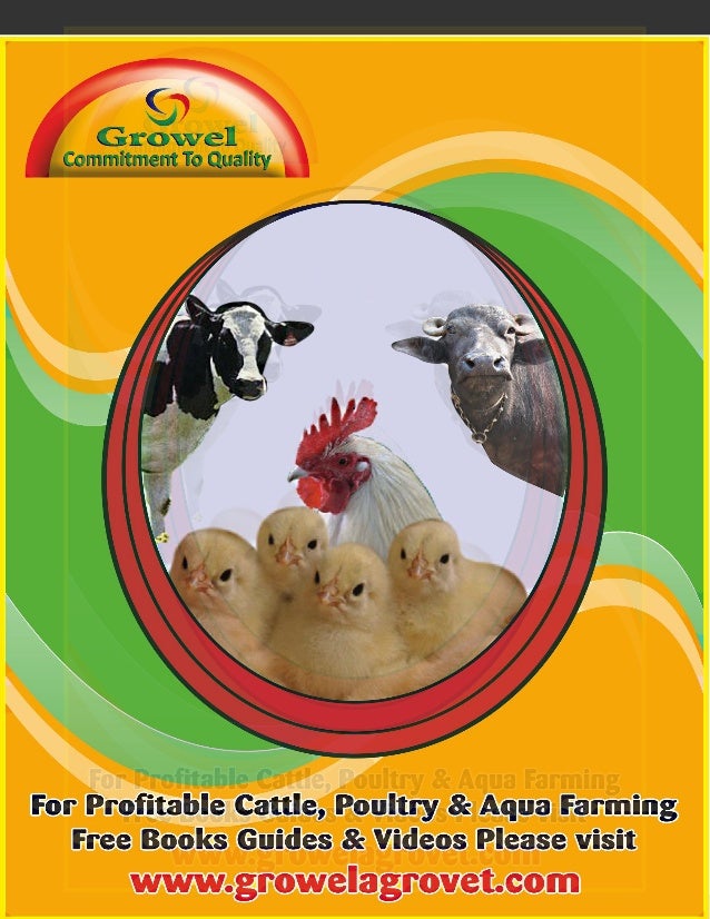 Broiler Farming Management Guide