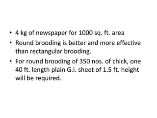 Broiler management | PPTX