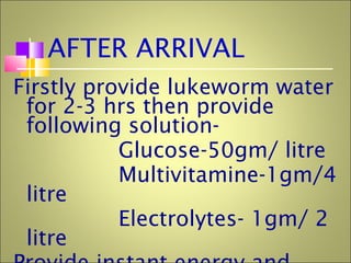 AFTER ARRIVAL
Firstly provide lukeworm water
for 2-3 hrs then provide
following solution-
Glucose-50gm/ litre
Multivitamine-1gm/4
litre
Electrolytes- 1gm/ 2
litre
 