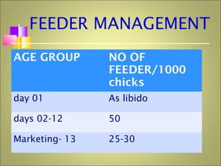 FEEDER MANAGEMENT
AGE GROUP NO OF
FEEDER/1000
chicks
01day As libido
02-12days 50
13-Marketing 25-30
 