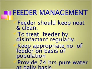 FEEDER MANAGEMENT
Feeder should keep neat
& clean.
To treat feeder by
disinfactant regularly.
Keep appropriate no. of
feeder on basis of
population
Provide 24 hrs pure water
 