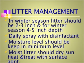 LITTER MANAGEMENT
In winter season litter should
be 2-3 inch & for winter
season 4-5 inch depth
Daily spray with disinfactant
Moisture level should be
keep in minimum level
Moist litter should dry sun
heat &treat with surface
 