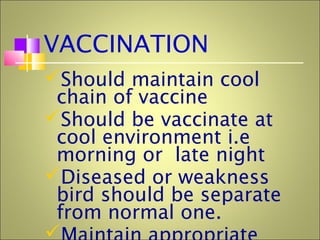 VACCINATION
Should maintain cool
chain of vaccine
Should be vaccinate at
cool environment i.e
morning or late night
Diseased or weakness
bird should be separate
from normal one.

 