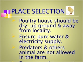 PLACE SELECTION
 Poultry house should be
dry, up ground & away
from locality.
 Ensure pure water &
electricity supply.
 Predators & others
animal are not allowed
in the farm.
 