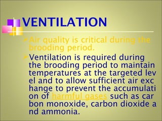 VENTILATION
Air quality is critical during the
brooding period.
Ventilation is required during
the brooding period to maintain
temperatures at the targeted lev
el and to allow sufficient air exc
hange to prevent the accumulati
on of harmful gases such as car
bon monoxide, carbon dioxide a
nd ammonia.
 