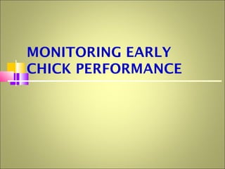 MONITORING EARLY
CHICK PERFORMANCE
 