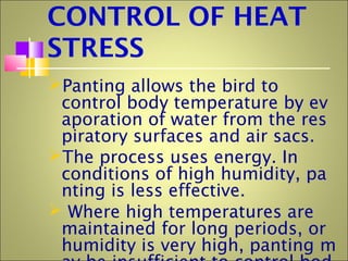 CONTROL OF HEAT
STRESS
Panting allows the bird to
control body temperature by ev
aporation of water from the res
piratory surfaces and air sacs.
The process uses energy. In
conditions of high humidity, pa
nting is less effective.
 Where high temperatures are
maintained for long periods, or
humidity is very high, panting m
 