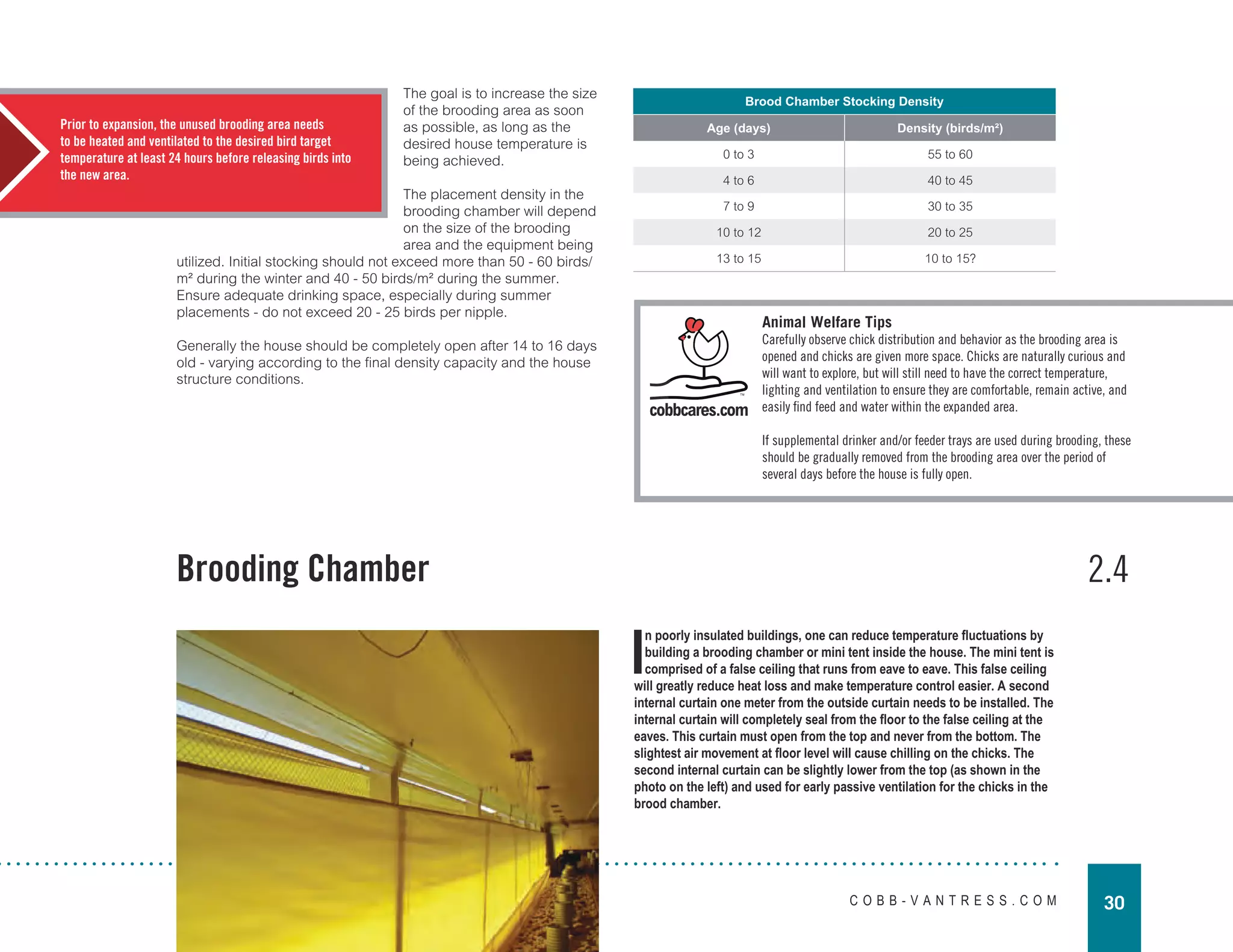 Broiler management guide.pdf