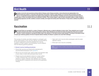 98
C O B B - V A N T R E S S . C O M
Bird Health 11
Vaccination 11.1
The success of a broiler vaccination program is contingent upon
proper administration of the vaccines. Specific recommendations
for vaccine applications should be obtained from vaccine
suppliers, as these supplier recommendations may be different
from the following general guidelines.
1. General vaccine handling procedures
• Ensure that vaccines are stored at the manufacturer’s
recommended temperature 2-8°C (36-46°F).
• Record vaccine product type, serial number and expiration date
on pen charts or some other permanent flock record.
• Prepare vaccine and stabilizer mixture on a clean surface
in clean containers free of any chemicals, disinfectants,
cleaners or organic materials. (Use stabilizer only if directed
by manufacturer of equipment and vaccine for the application
method).
• Open each vial of vaccine while submerged under the water-
stabilizer mixture.
• Rinse each vial of vaccine completely.
Note: Please refer to Cobb’s Vaccination Guide for more
information.
P
revention is by far the most economical and best method of disease control. Disease prevention is best achieved by the implementation of an
effective biosecurity program in conjunction with appropriate immunization. However, poultry diseases can overcome these precautions and when
they do, it is important to prevent spread of the disease causing pathogen to other flocks/farms. Caretakers and service personnel should be trained to
recognize signs of illness and problems that may be attributed to disease. These include changes in water and feed consumption patterns, sudden changes in
fecal droppings appearance and litter conditions, excessive mortality, and irregular bird activity and/or flock behavior. Prompt action to address the problem is
essential.
P
arent stock flocks are vaccinated for a number of diseases to effectively pass on maternal antibodies to broiler chicks. These antibodies serve to protect
the chicks during the early portion of the brooding period. However, these antibodies do not protect the broilers throughout the entire grow-out period.
Therefore, it may be necessary to vaccinate the broilers either in the hatchery or in the field to prevent certain diseases. The timing of vaccinations should
be based upon veterinary guidance, the level of expected maternal antibody, the disease in question and current field challenges.
 