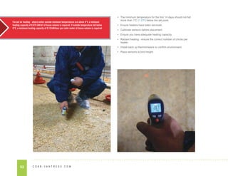 53 C O B B - V A N T R E S S . C O M
• The minimum temperature for the first 14 days should not fall
more than 1°C (1.8°F) below the set point.
• Ensure heaters have been serviced.
• Calibrate sensors before placement.
• Ensure you have adequate heating capacity.
• Radiant heating - ensure the correct number of chicks per
heater.
• Install back up thermometers to confirm environment.
• Place sensors at bird height.
Forced air heating - where winter outside minimum temperatures are above 0°C a minimum
heating capacity of 0.075 kW/m³ of house volume is required. If outside temperature fall below
0°C, a minimum heating capacity of 0.10 kW/hour per cubic meter of house volume is required.
 