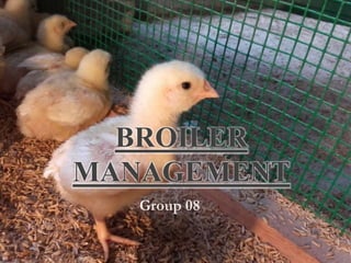 Group 08
BROILER
MANAGEMENT
 