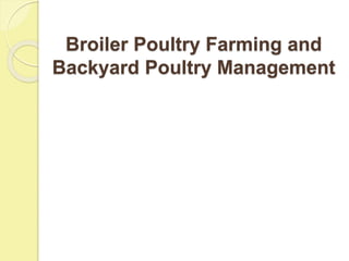 Broiler Poultry Farming and
Backyard Poultry Management
 