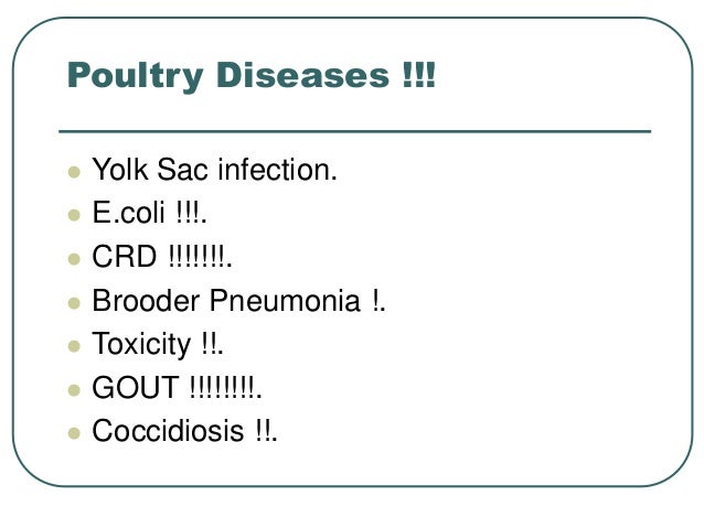 Poultry management & diseases