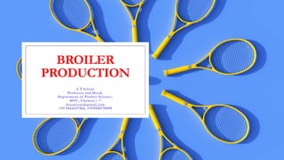 BROILER
PRODUCTION
S.T.Selvan
Professor and Head,
Department of Poultry Science,
MVC, Chennai – 7
drstselvan@gmail.com
+91 9444227466, +919940178909
 