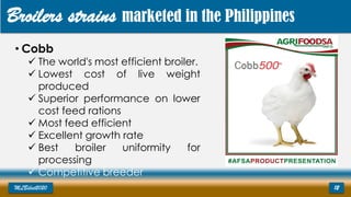 • Cobb
 The world's most efficient broiler.
 Lowest cost of live weight
produced
 Superior performance on lower
cost feed rations
 Most feed efficient
 Excellent growth rate
 Best broiler uniformity for
processing
 Competitive breeder
MLBibat2020 12
Broilers strains marketed in the Philippines
 