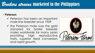 • Peterson
 Peterson has been an important
male line breeder since 1959
 the Peterson male was the gold
standard for broiler breeder
males worldwide for many years
providing high reproductive
traits, superior feed conversion
and rapid growth.
MLBibat2020 14
Broilers strains marketed in the Philippines
 