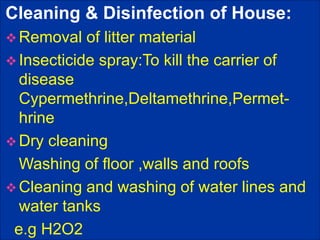 Cleaning & Disinfection of House:
 Removal of litter material
 Insecticide spray:To kill the carrier of
disease
Cypermethrine,Deltamethrine,Permet-
hrine
 Dry cleaning
Washing of floor ,walls and roofs
 Cleaning and washing of water lines and
water tanks
e.g H2O2
 