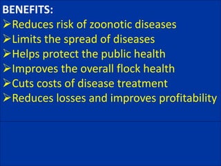BENEFITS:
Reduces risk of zoonotic diseases
Limits the spread of diseases
Helps protect the public health
Improves the overall flock health
Cuts costs of disease treatment
Reduces losses and improves profitability
 