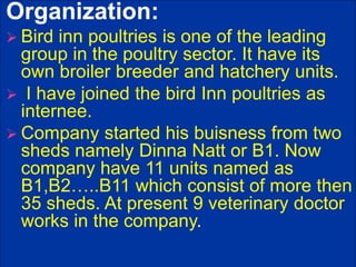 Organization:
 Bird inn poultries is one of the leading
group in the poultry sector. It have its
own broiler breeder and hatchery units.
 I have joined the bird Inn poultries as
internee.
 Company started his buisness from two
sheds namely Dinna Natt or B1. Now
company have 11 units named as
B1,B2…..B11 which consist of more then
35 sheds. At present 9 veterinary doctor
works in the company.
 