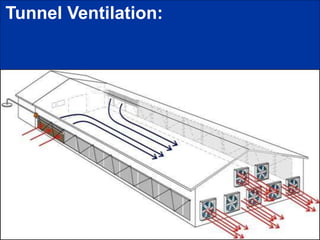Tunnel Ventilation:
 