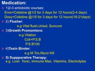 Medication:
 1)2-3 antiobiotic courses:
Enro+Colistine @1/2 for 3 days for 12 hours(2-4 days)
Doxy+Colistine @1/5 for 3 days for 12 hours(18-21days)
 2) Flusher:
e.g Vital flush,Urisol, Suncure
 3)Growth Promomtors:
e.g Vitation
Coli+P.S.B
P.S.B100
 4)Toxin Binder:
e.g M.Tox,Myco Kill
 5) Suppporative Therapy:
e.g Liver Tonic, Immune Max, Vitamins, Electrolytes
 