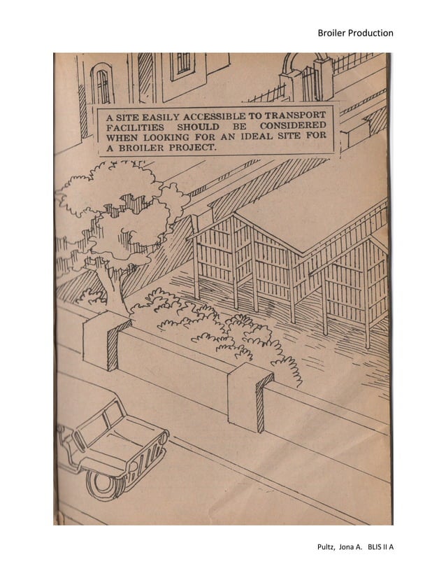 Broiler production pdf