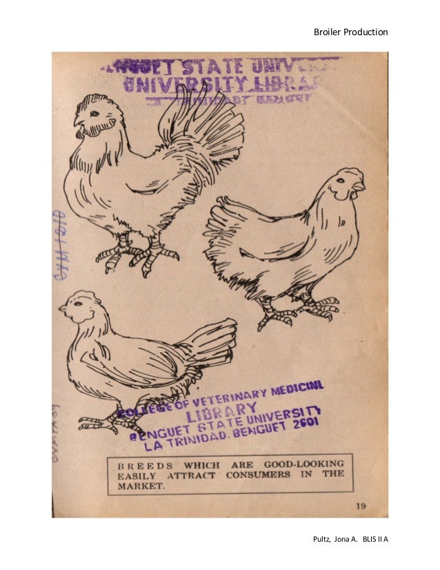 Broiler production pdf