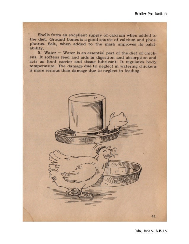 Broiler production pdf