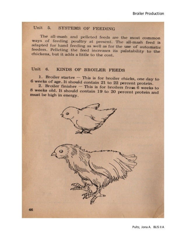 Broiler production pdf