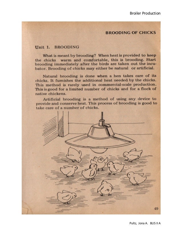 Broiler production pdf