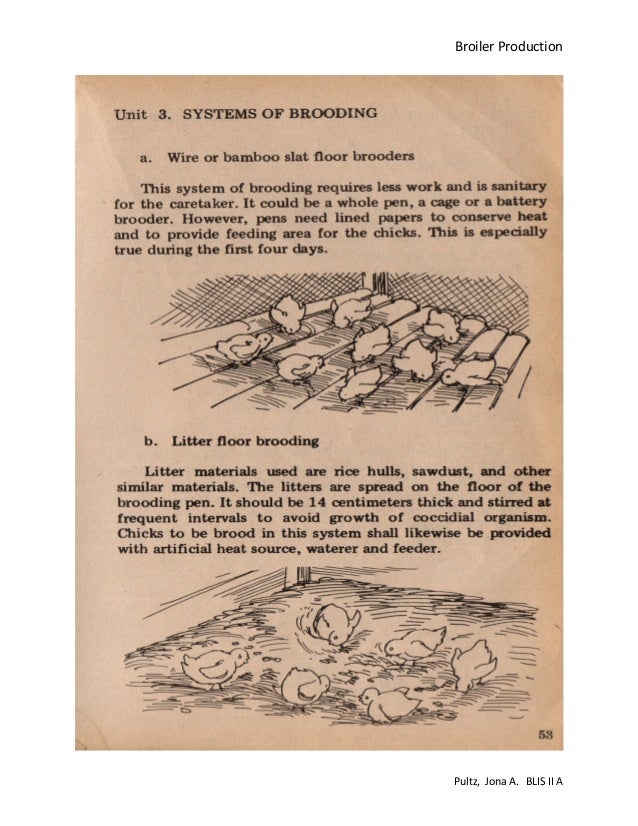Broiler production pdf
