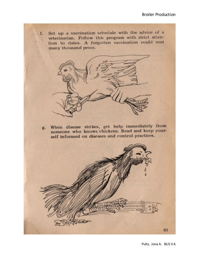 Broiler production pdf