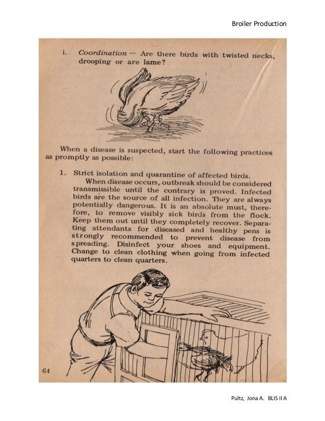 Broiler production pdf