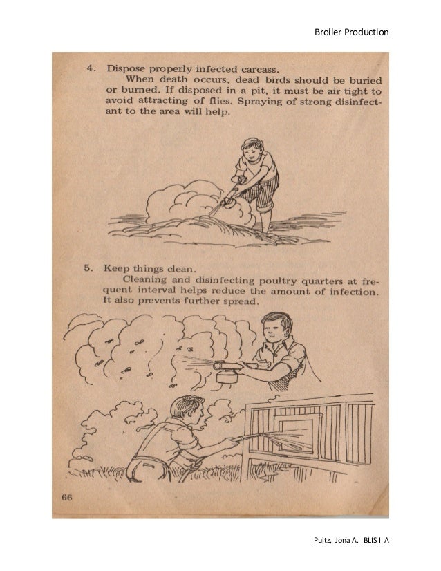 Broiler production pdf