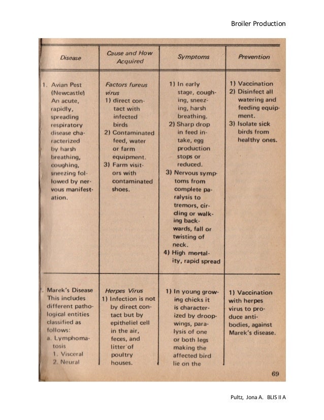 Broiler production pdf