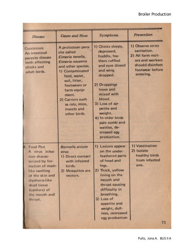 Broiler production pdf