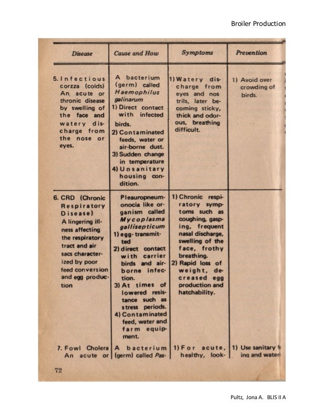 Broiler production pdf