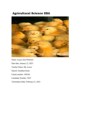 Broiler SBA.docx for agricultural science csec | PDF