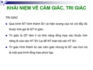 bai giang roi loan Cam giac tri Giac.pdf