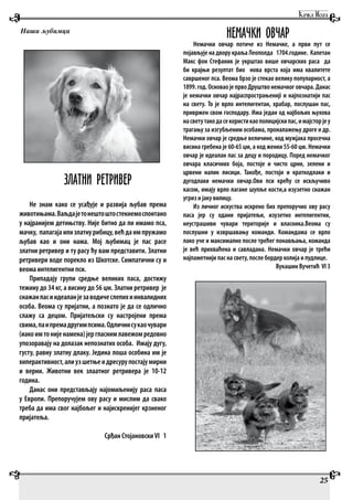 ЗЛАТНИ РЕТРИВЕР
Не знам како се усађује и развија љубав према
животињама.Ваљдaјетонештоштостекнемоспонтано
у најранијем детињству. Није битно да ли имамо пса,
мачку, папагајаилизлатнурибицу,већдаимпружамо
љубав као и они нама. Мој љубимац је пас расе
златни ретривер и ту расу ћу вам представити. Златни
ретривери воде порекло из Шкотске. Симпатични су и
веома интелигентни пси.
Припадају групи средње великих паса, достижу
тежину до 34 кг, а висину до 56 цм. Златни ретривер је
снажанпасиидеаланјезаводичеслепихиинвалидних
особа. Веома су пријатни, а познато је да се одлично
слажу са децом. Пријатељски су настројени према
свима,паипремадругимпсима.Одличнисукаочувари
(иакоимтонијенамена)јергласнимлавежомредовно
упозоравају на долазак непознатих особа. Имају дугу,
густу, равну златну длаку. Једина лоша особина им је
хиперактивност,алиузшетњеидресурупостајумирни
и верни. Животни век злаатног ретривера је 10-12
година.
Данас они представљају најомиљенију раса паса
у Европи. Препоручујем ову расу и мислим да свако
треба да има свог најбољег и најискренијег крзненог
пријатеља.
Срђан СтојановскиVI 1
НЕМАЧКИ ОВЧАР
Немачки овчар потиче из Немачке, а први пут се
појављује на двору краља Леополда 1704.године. Капетан
Макс фон Стефаник је укрштао више овчарских раса да
би крајњи резултат био нова врста која има квалитете
савршеног пса. Веома брзо је стекао велику популарност, а
1899.год.ОсноваојепрвоДруштвонемачкоговчара.Данас
је немачки овчар најраспрострањенијi и најпознатији пас
на свету. То је врло интелигентан, храбар, послушан пас,
привржен свом господару. Има један од најбољих њухова
насветутакодасекористикаополицијскипас,имајсторјеу
трагању за изгубљеним особама, проналажењу дроге и др.
Немачки овчар је средње величине, код мужјака просечна
висина гребена је 60-65 цм, а код женки 55-60 цм. Немачки
овчар је идеалан пас за децу и породицу. Поред немачког
овчара класичних боја, постоје и чисто црни, зелени и
црвени налик лисици. Такође, постоји и краткодлаки и
дугодлаки немачки овчар.Ови пси крећу се искључиво
касом, имају врло лагане шупље кости,а изузетно снажан
угриз и јаку вилицу.
Из личног искуства искрено бих препоручио ову расу
паса јер су одани пријатељи, изузетно интелигентни,
неустрашиви чувари територије и власника.Веома су
послушни у извршавању команди. Командама се врло
лако уче и максимално после трећег понављања, команда
је већ прихваћена и савладана. Немачки овчар је трећи
најпаметнији пас на свету, после бордер колија и пудлице.
Вукашин Вучетић VI 3
25
Наши љубимци
 