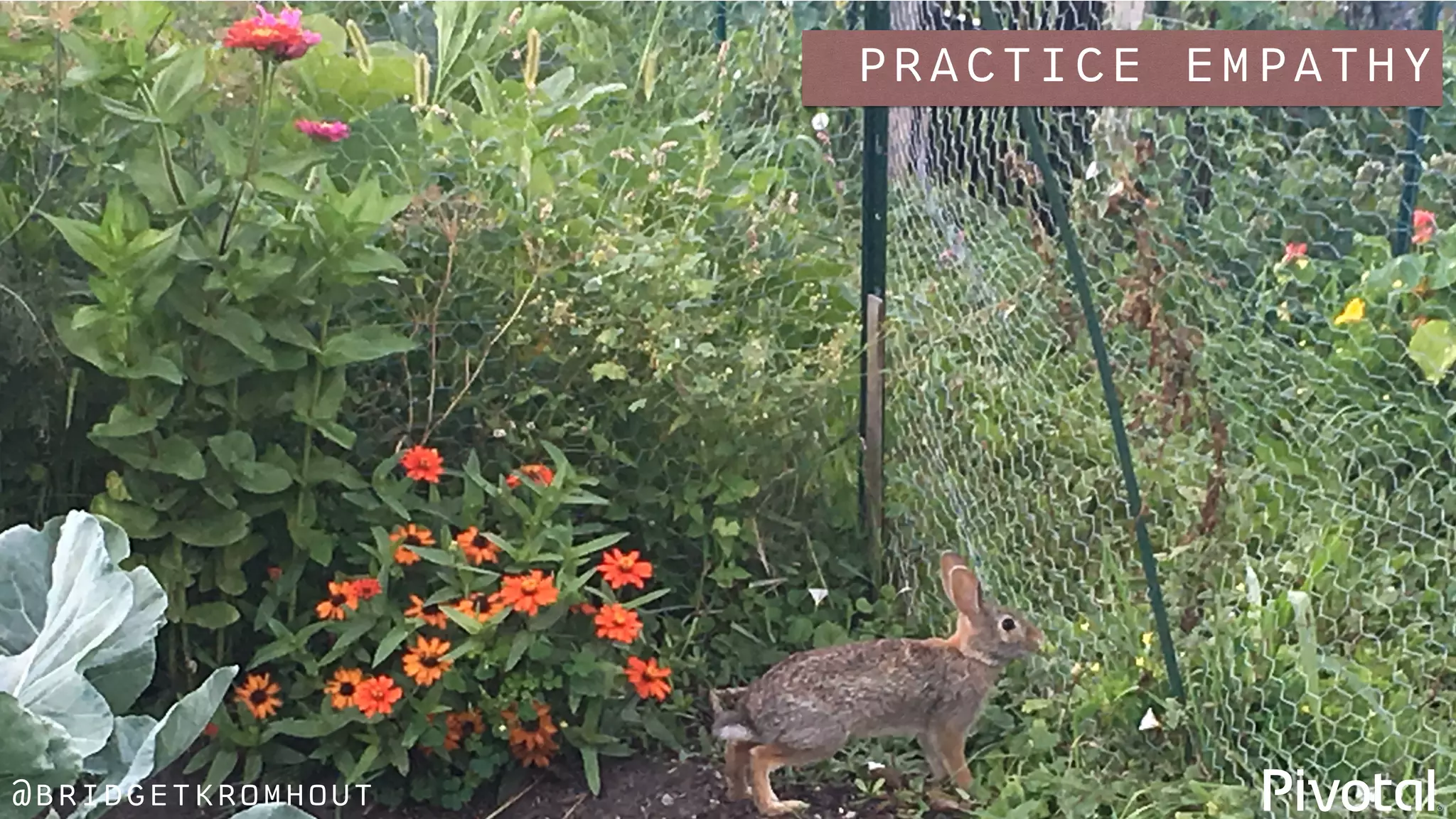@bridgetkromhout
practice empathy
 