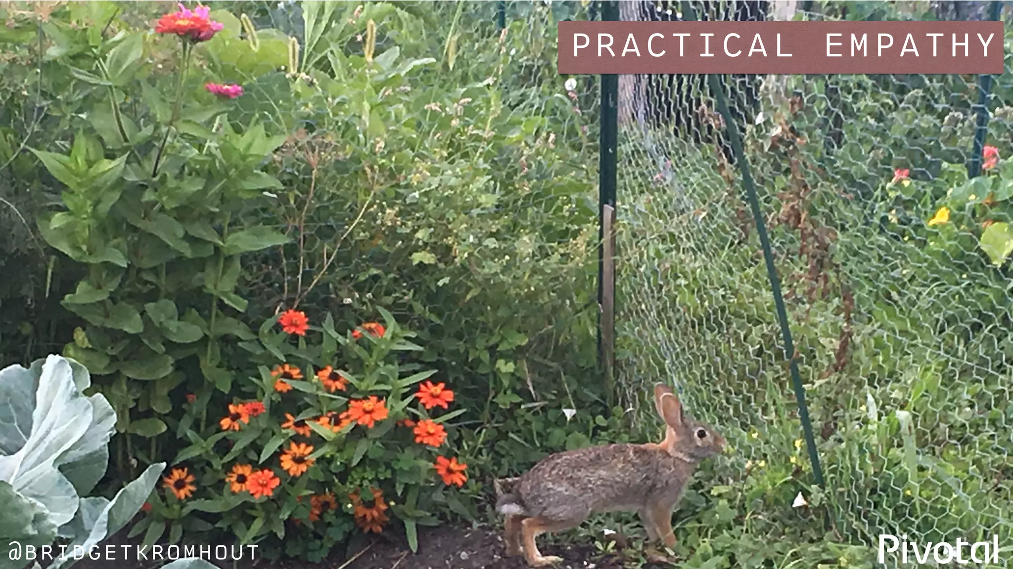 @bridgetkromhout
practical empathy
 