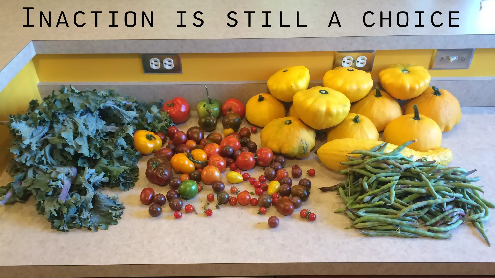 @bridgetkromhout
Inaction is still a choice
 