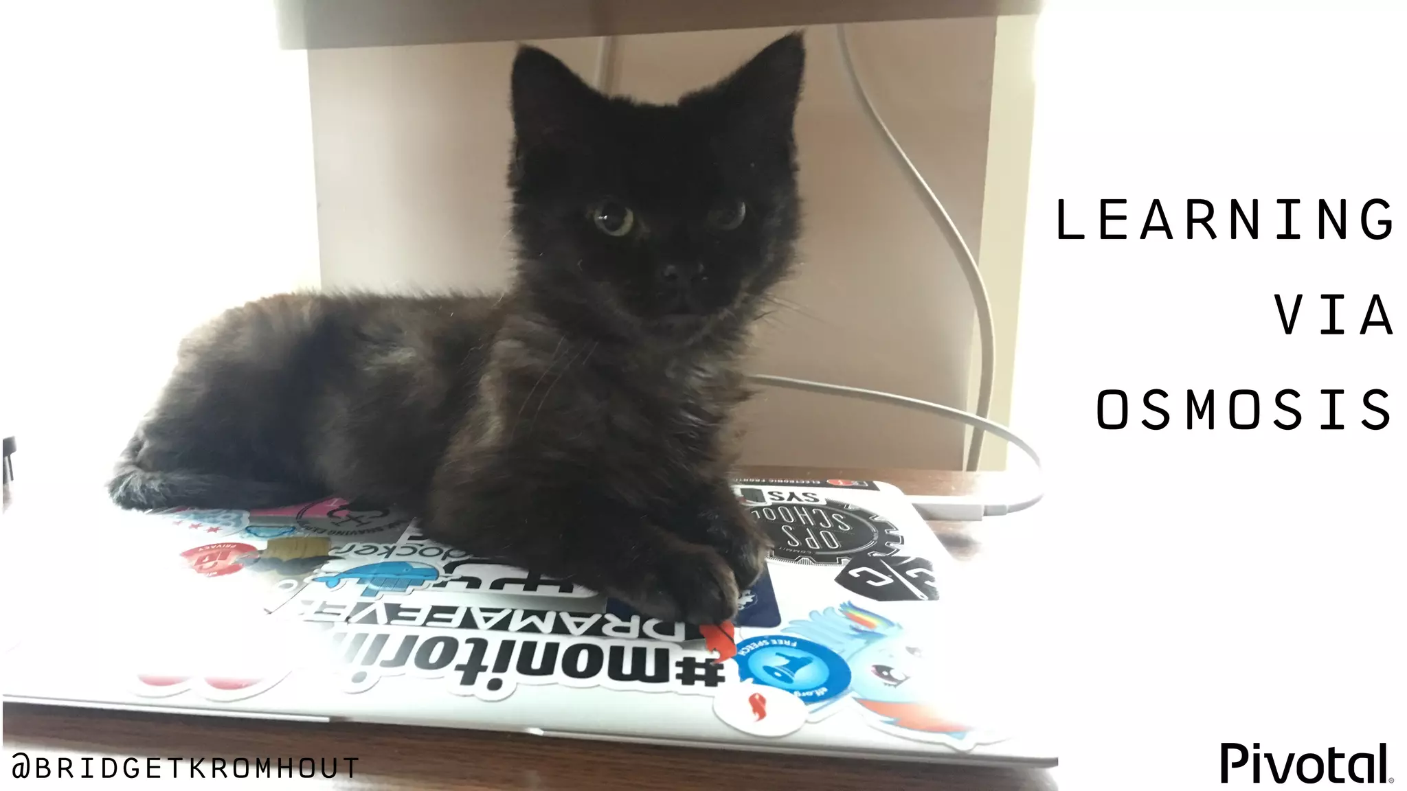 @bridgetkromhout
learning
via
osmosis
 