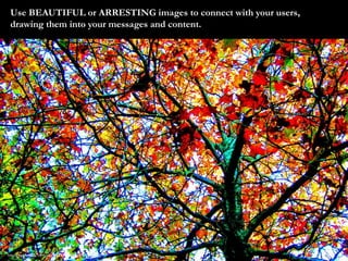 Use BEAUTIFUL or ARRESTING images to connect with your users, 
drawing them into your messages and content. 
https://www.f...