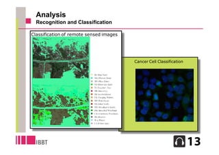 Analysis
  Recognition and Classification

Classification of remote sensed images




                                         Cancer Cell Classification




                                                                      12
 