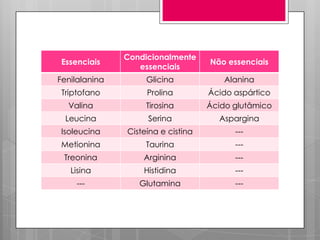 Essenciais

Condicionalmente
essenciais

Não essenciais

Fenilalanina

Glicina

Alanina

Triptofano

Prolina

Ácido aspártico

Valina

Tirosina

Ácido glutâmico

Leucina

Serina

Aspargina

Isoleucina

Cisteína e cistina

---

Metionina

Taurina

---

Treonina

Arginina

---

Lisina

Histidina

---

---

Glutamina

---

 