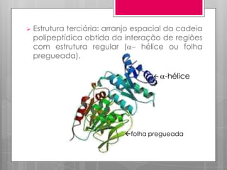 

Estrutura terciária: arranjo espacial da cadeia
polipeptídica obtida da interação de regiões
com estrutura regular (
hélice ou folha
pregueada).


-hélice

folha pregueada

 