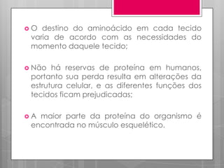 O

destino do aminoácido em cada tecido
varia de acordo com as necessidades do
momento daquele tecido;

 Não

há reservas de proteína em humanos,
portanto sua perda resulta em alterações da
estrutura celular, e as diferentes funções dos
tecidos ficam prejudicadas;

A

maior parte da proteína do organismo é
encontrada no músculo esquelético.

 