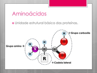 Aminoácidos
 Unidade

estrutural básica das proteínas.
Grupo carboxila

Grupo amino 

Cadeia lateral

 